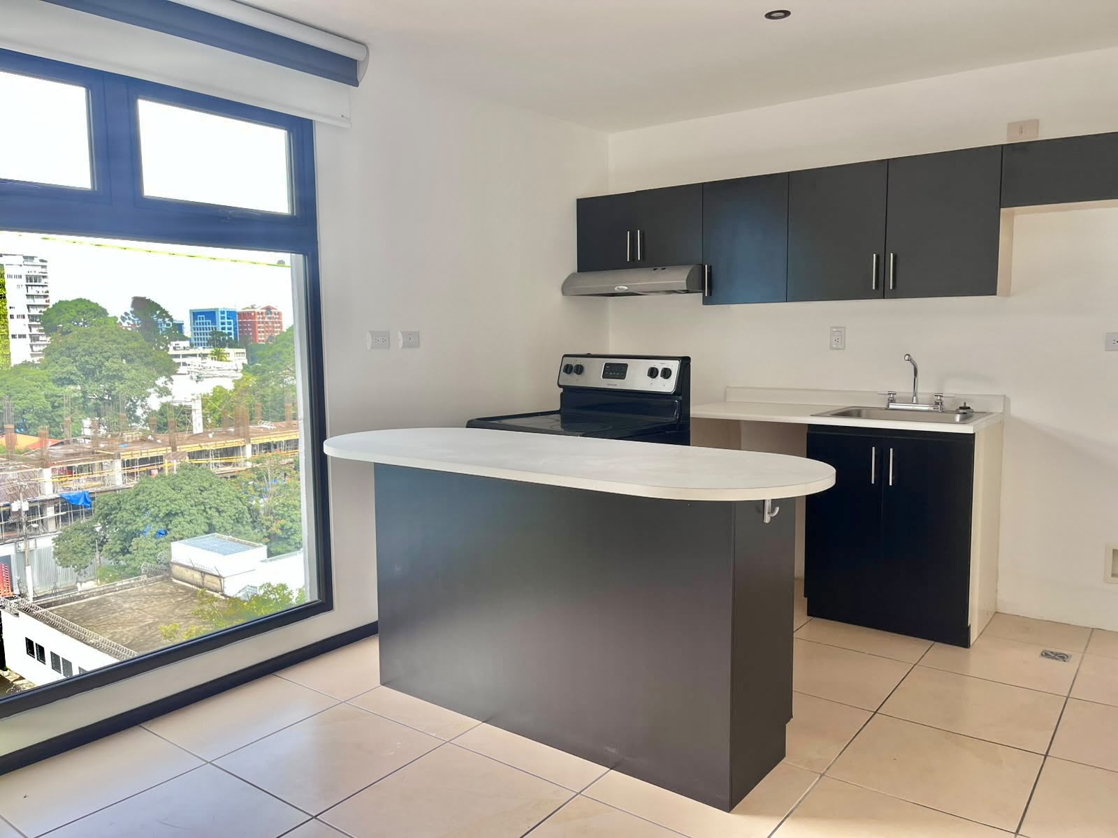 Cocina del apartamento Madeleine en renta en Zona 10
